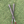 Sasquatch Grip