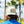 UFO Joe Hat