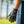 Black Paint Splatter Golf Glove
