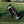 The Abduction Golf Bag