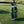 The Golfing Dead Golf Bag Limited Edition