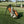 Sasquatch Golf Bag