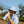Coldest x Shankitgolf Cloud Matter Water Bottle