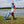 Coldest X Shankitgolf Cloud Matter Polo Womens
