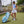 Coldest X Shankitgolf Cloud Matter Polo Womens