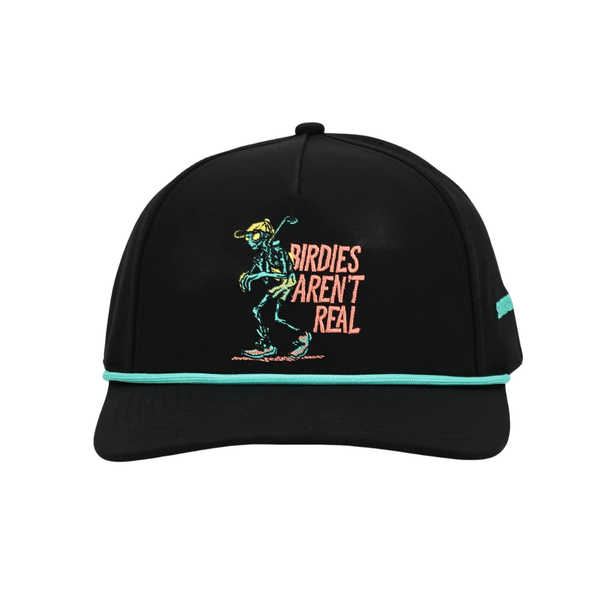 UFO Joe Birdies Arent Real Hat