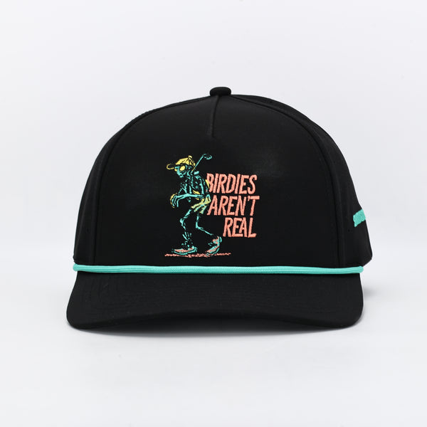 UFO Joe Birdies Arent Real Hat