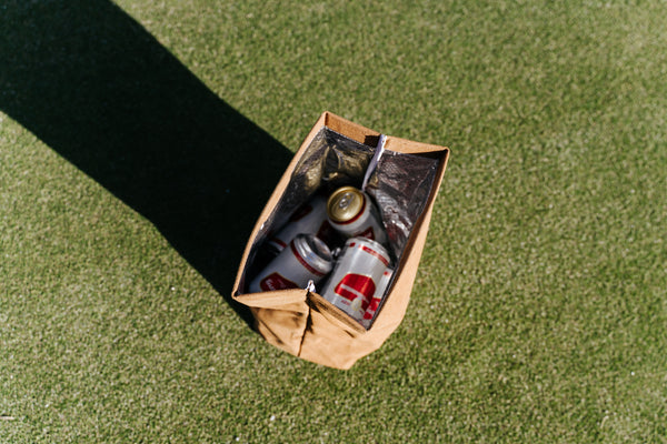 Brown Paper Bag Cooler (Read Description)