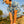 Shankitgolf Desert Patch Hat